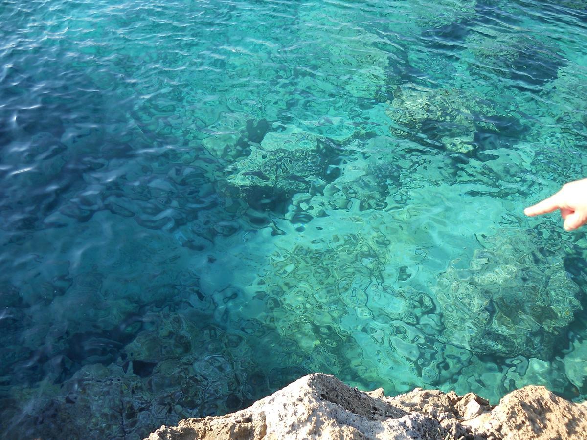 بورتو سيساريو B&B La Strea المظهر الخارجي الصورة